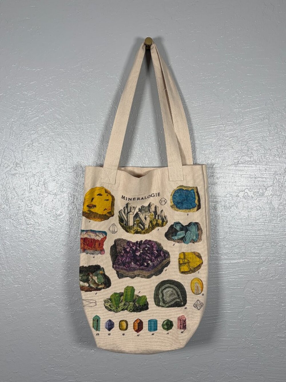 Cavallini & Co. Vintage Style Mineralogie Tote Bag Canvas Cotton Pocket